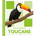 Beaus Koala Toucan Hangout