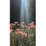 Aesthetic Angels for you
