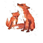 The Fox Friends