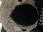 Koalasleeps store