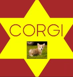 Corgi kind