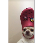 Koolkidz62