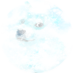 Blizzard Doge
