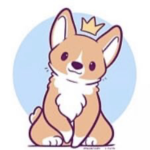 HyperDude