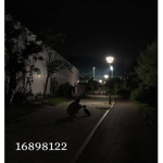 .bsfher