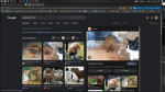 capycat group