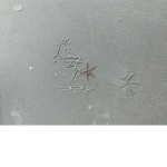 Rip Patrick star