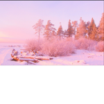 SimplyCosmo