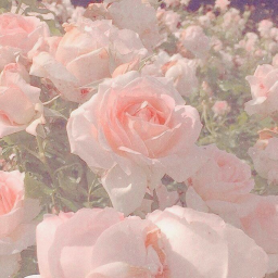 𝒚𝒐𝒖