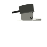 Tinpot Republic