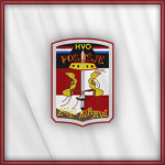 5. Brigada Posušje "Žuti mravi"