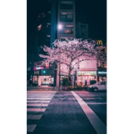 ×Your summer wishes hangout×