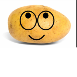 Mr. Potato's Castle