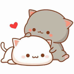 Kittens Homestore