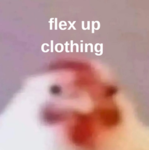 FlexUp Clothing