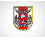 TSO Türk Askeri oyunu