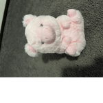 Pink Piggy’s Group