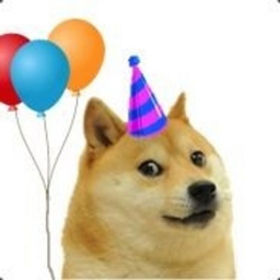 Doge Obby!