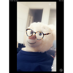 Weird Care Bears