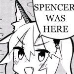 THE SILVERWARE DRAWER