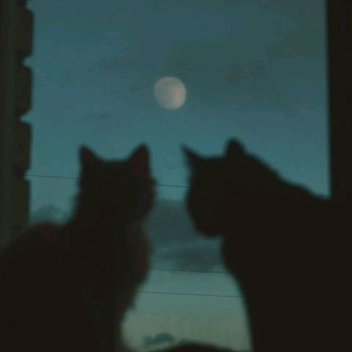  ☆