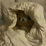 •~ teddy bears ~•