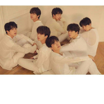 Fighting Army Of BTS