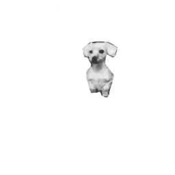 meet penny