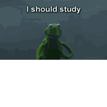 Make Your Own MeMes!