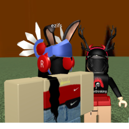 V e l l ‘s  hangout