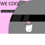 Coolest Cats!