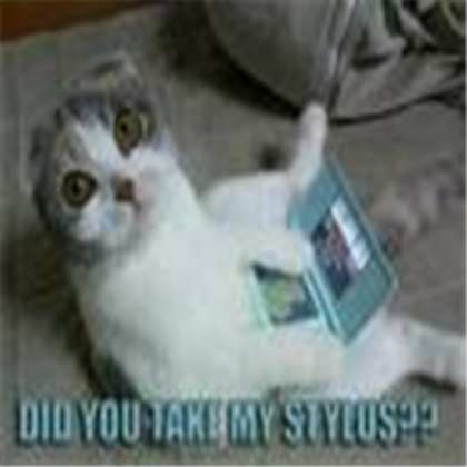 Funny cat!!! Roblox decal