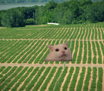 Russtria