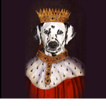 The dogs kingdom