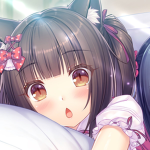 kittyarchive