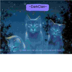 DarkClan ~warrior cats~