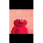 Not Flapy
