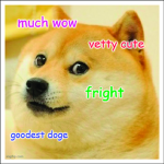 group of the doges......................much coins