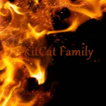KitCat Family!
