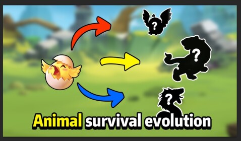 Animal Evolution