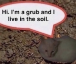 Its Jerry Squad