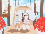 KawaiiTransport