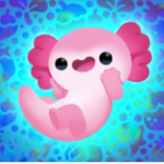 Axolotl‘s are the best!!!