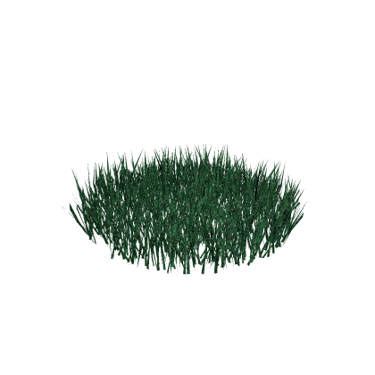 Grass