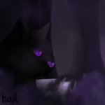 「black cat」