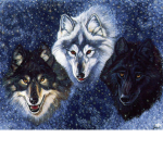 Wolf Pack Awoooo