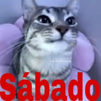 ¡Roba un Santa Cruz! 