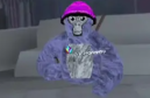 conrads basement