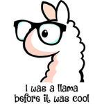 my super special llama fun time group