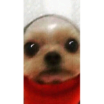 eo pa